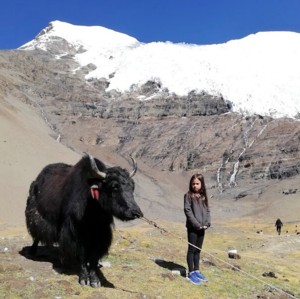 Everest